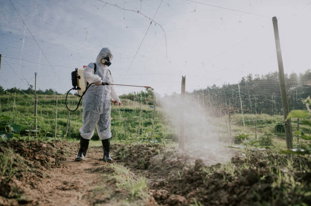 Best Pest Prevention Services  in Ashland, CA