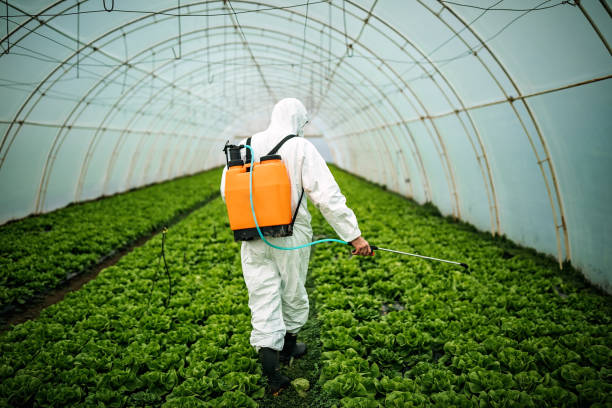 Best Pest Control Near Me in Ashland, CA