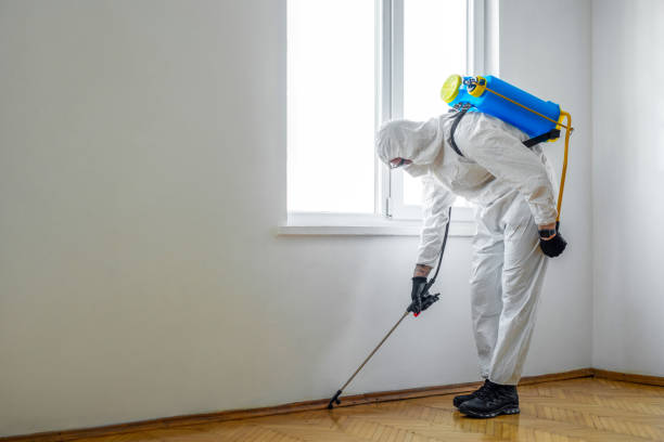 Best Cockroach Control Services  in Ashland, CA
