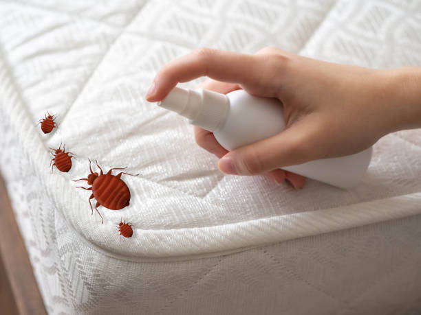 Pest Prevention Services in Ashland, CA