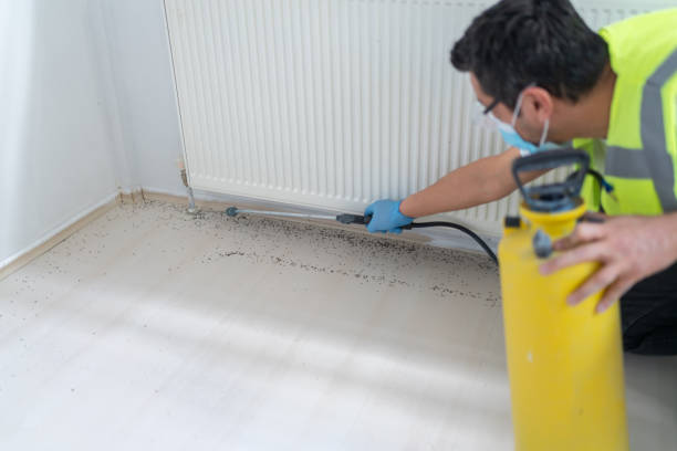 Best Best Pest Control Companies  in Ashland, CA