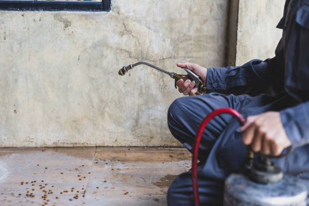 Best Local Pest Control Services  in Ashland, CA