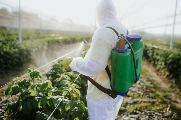  Ashland, CA Pest Control Pros